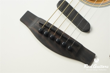 Acoustasonic Player Telecaster - Arctic White